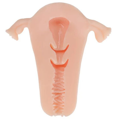 ชายนุ่มมดลูก Masturbator ช่องคลอดถ้วยจริงรุ่นหญิงจริงช่องคลอดสำหรับผู้ชาย Anal Sex ลึกมดลูก Sex ต่อมลูกหมากกระตุ้น sextoy