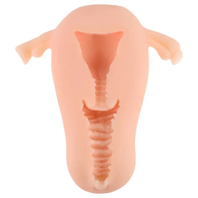 ชายนุ่มมดลูก Masturbator ช่องคลอดถ้วยจริงรุ่นหญิงจริงช่องคลอดสำหรับผู้ชาย Anal Sex ลึกมดลูก Sex ต่อมลูกหมากกระตุ้น sextoy